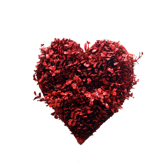 Red Frame Heart Shape