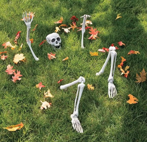 Halloween Skeleton Bones Decoration Set
