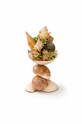 Shell Bloom Sculpture