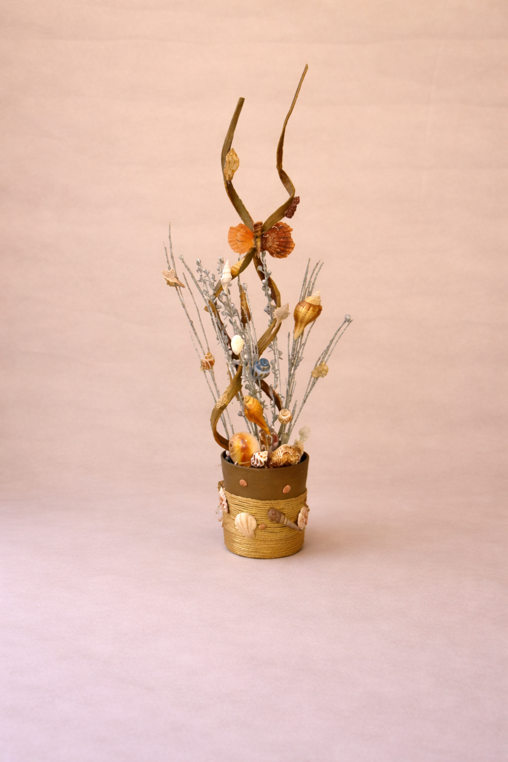 Coastal Shell Arrangement