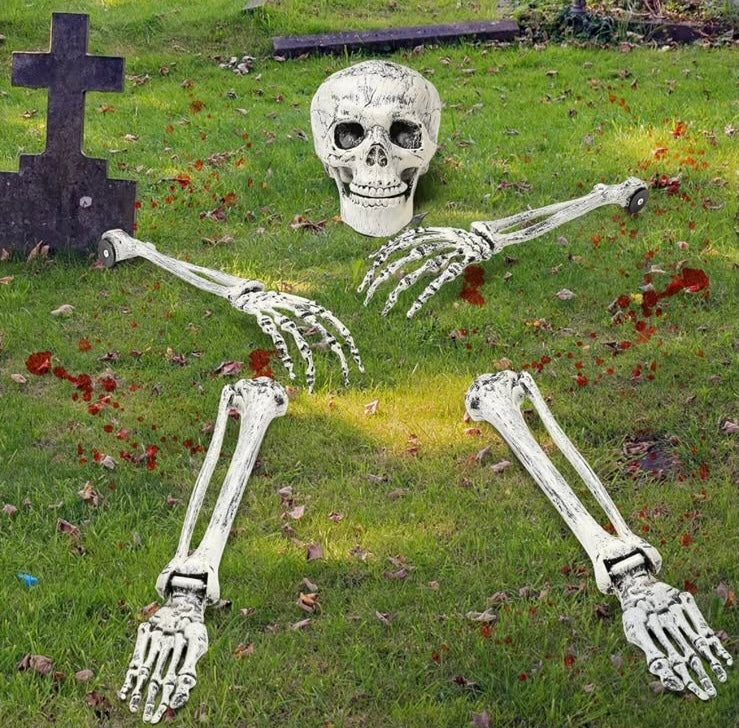 Halloween Skeleton Bones Decoration Set