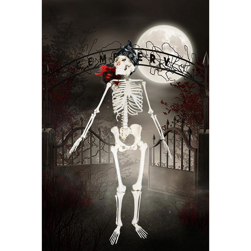 Skeleton