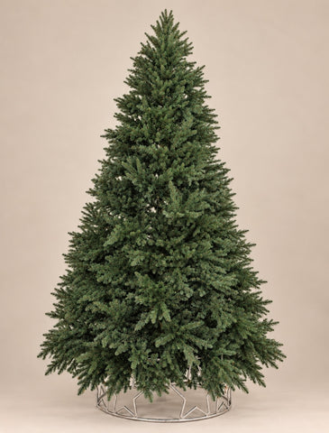 Grand Fir Christmas Tree