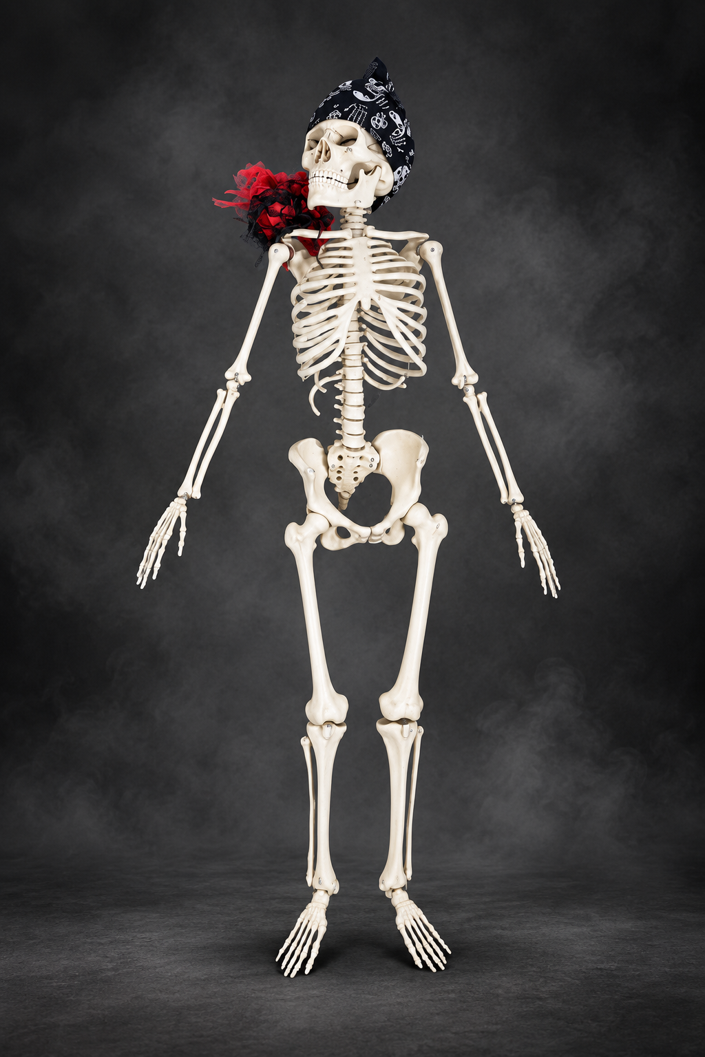 Skeleton