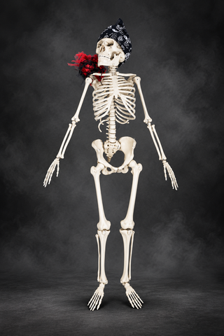 Skeleton