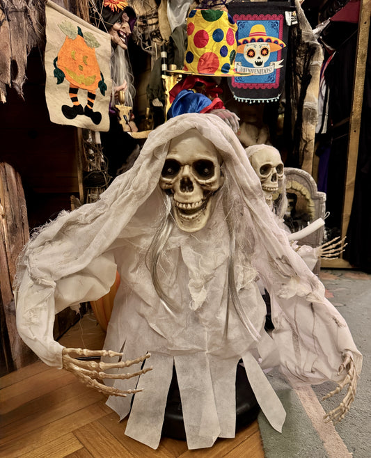 Animated skull