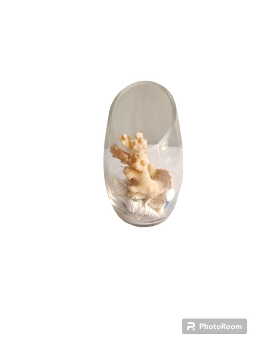 Summer decoration - Shell centerpiece