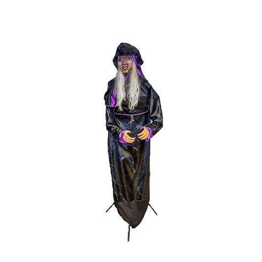 Halloween Witch