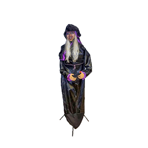 Halloween Witch