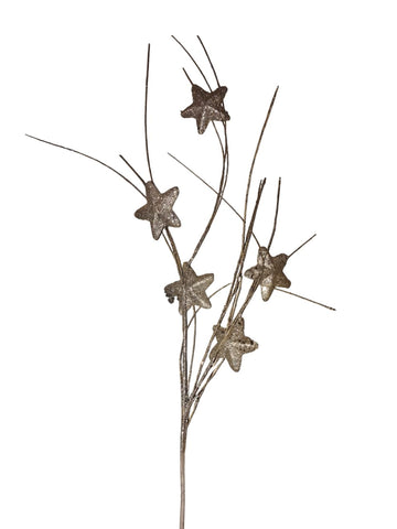 Silver branch with stars