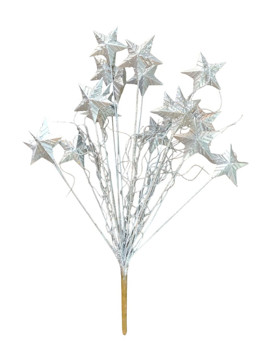 silver attached branch with stars