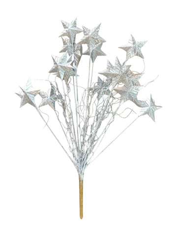 silver attached branch with stars