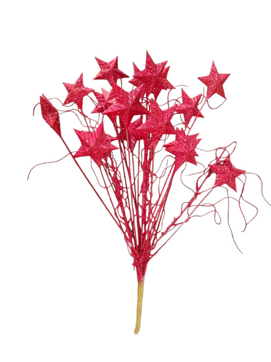 Accessory branch red with stars