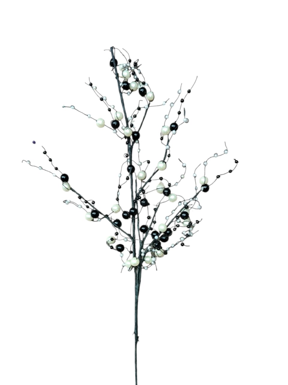 black and white Lolli Branch