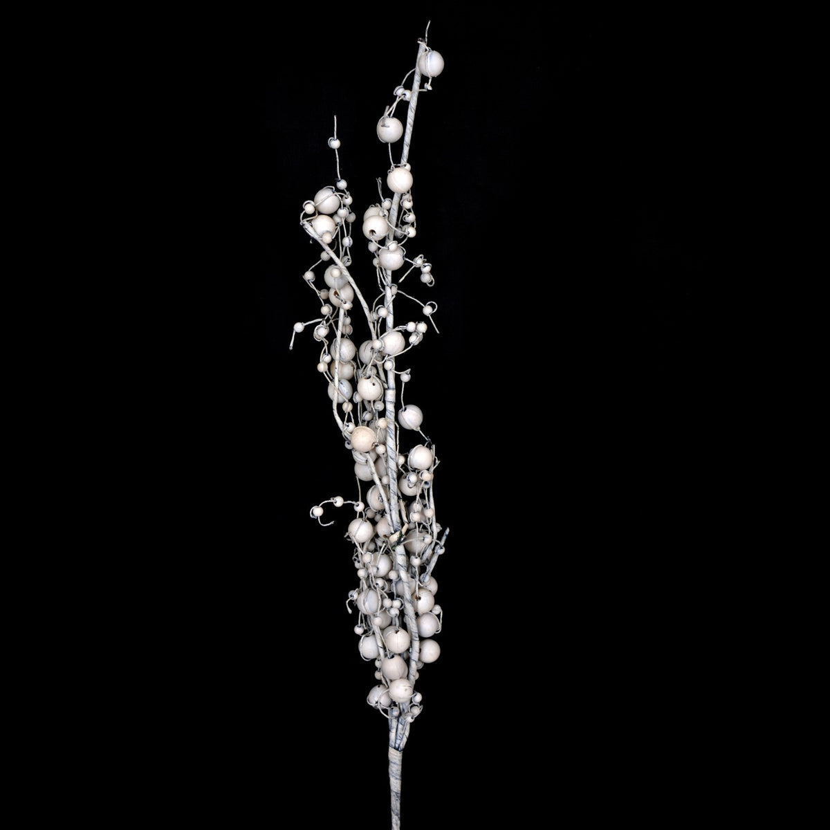 white Lolli Branch