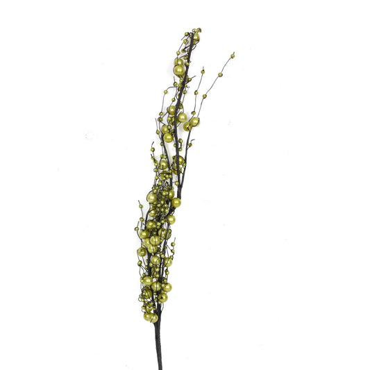 Green Lolli Branch