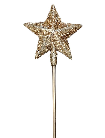 Star with golden sugar
