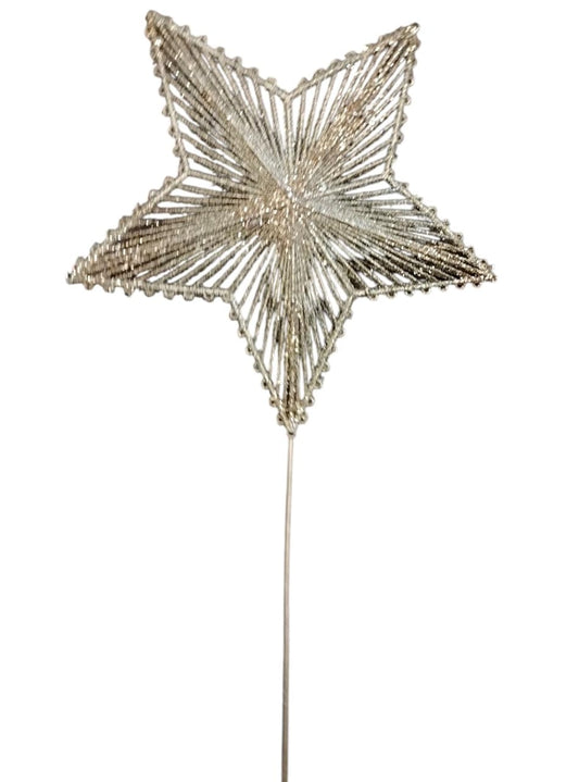 Golden Star