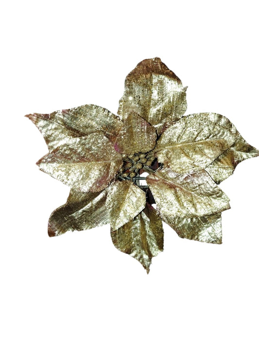 Golden rose ponsati