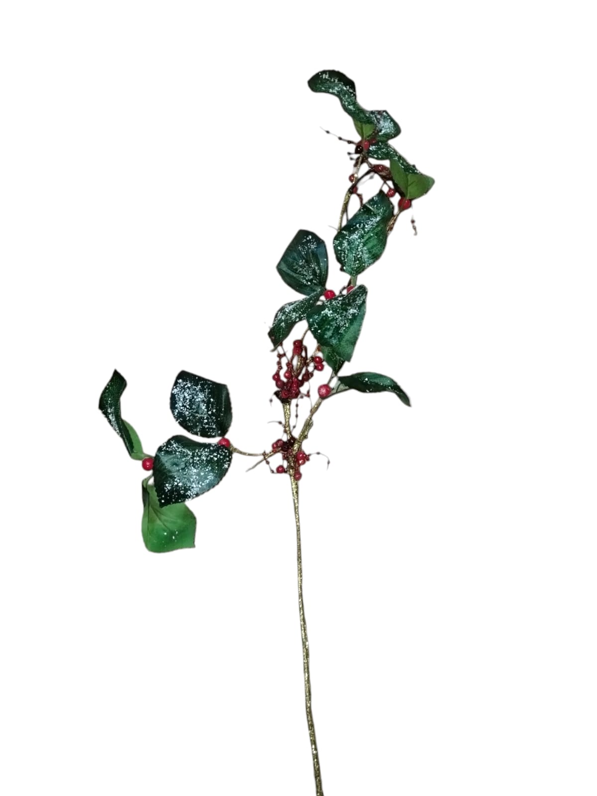 Green tree branch