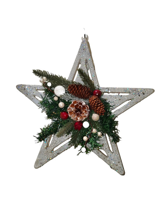 Christmas silver star