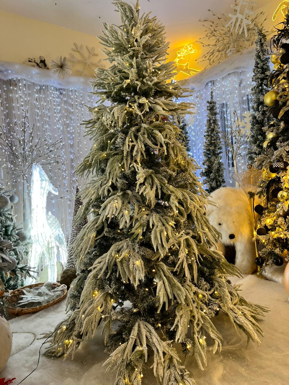 Frost Kiss- 2.10m Christmas tree