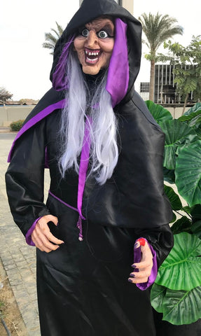 Halloween Witch