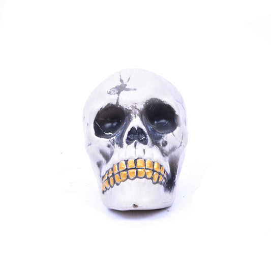 Halloween Skull