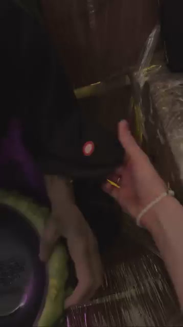 Halloween animated bundle