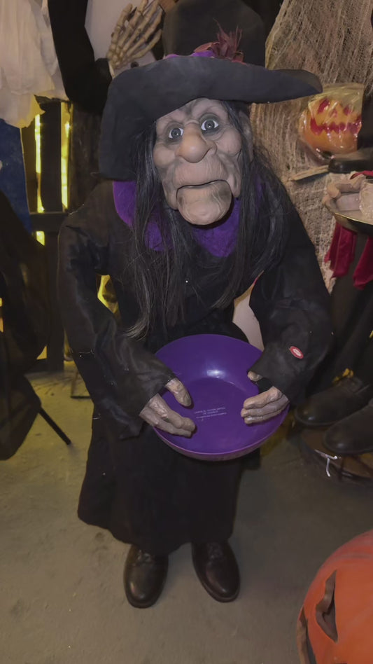 Halloween animated witch