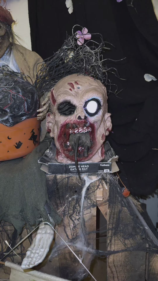 Animated halloween zombie head